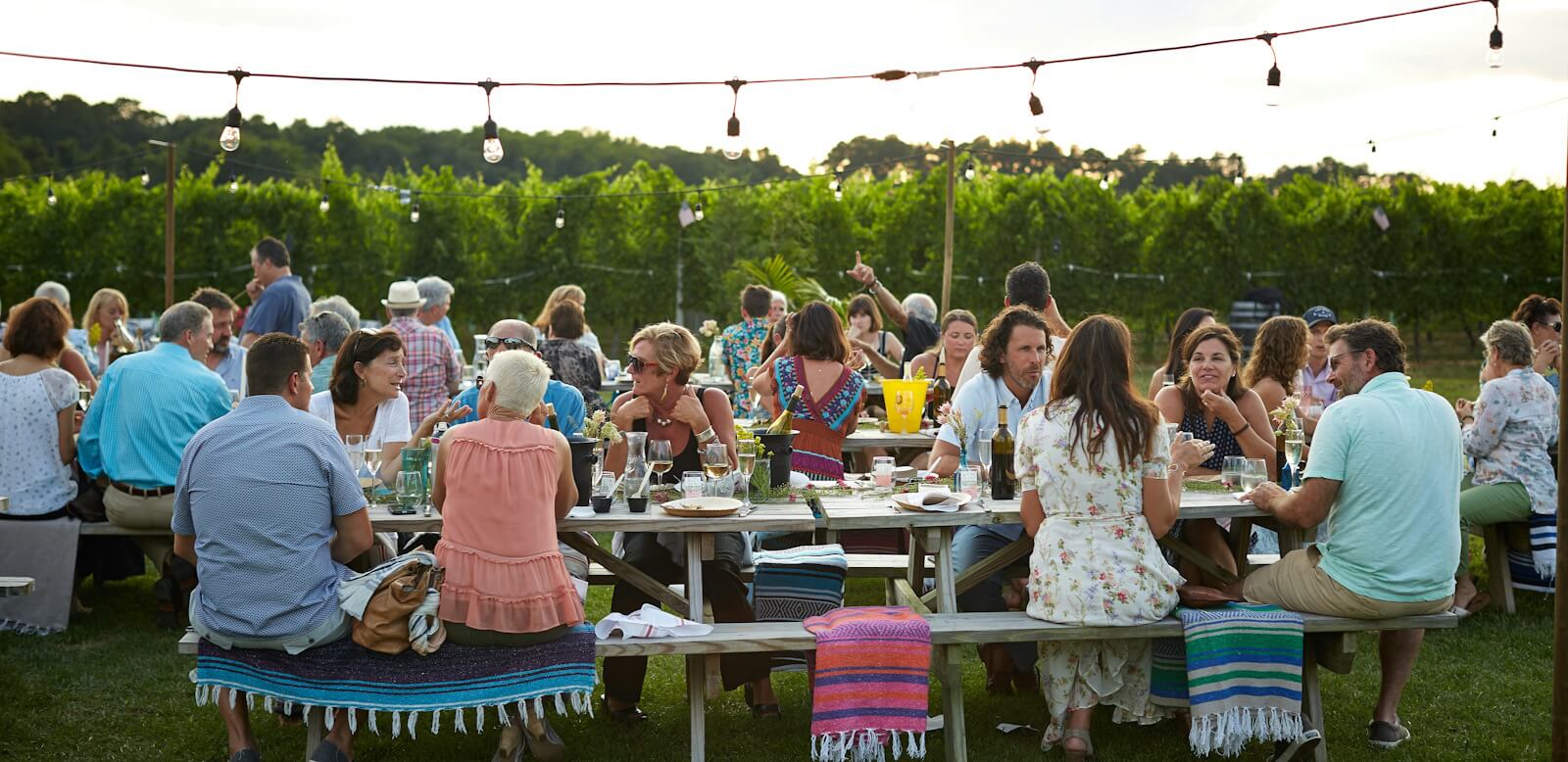 People eating at picnic tables (photo: david todd mccarty used with permissiong)